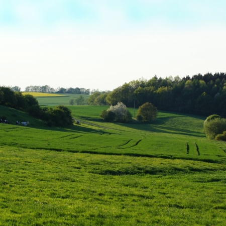 24 D HES VB VB DSC04550 1.jpg